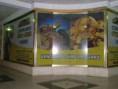 /album/compra-e-venda-de-ouro-prata-usados/pa170005-jpg/